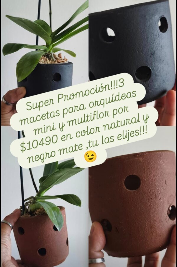 Promocion de 3 macetas orquiclay mediana para orquideas mini y multiflora