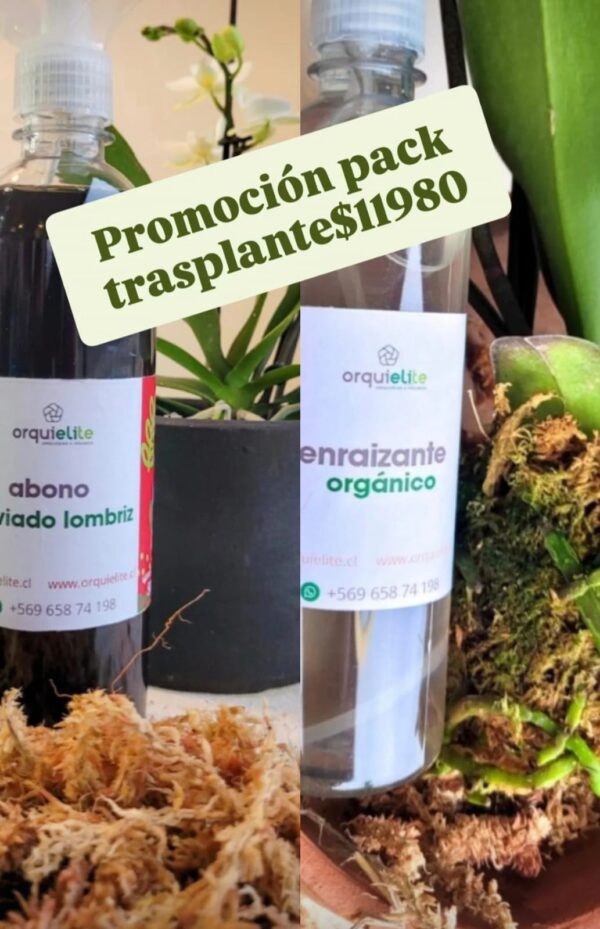 Pack de trasplante para orquideas promocion