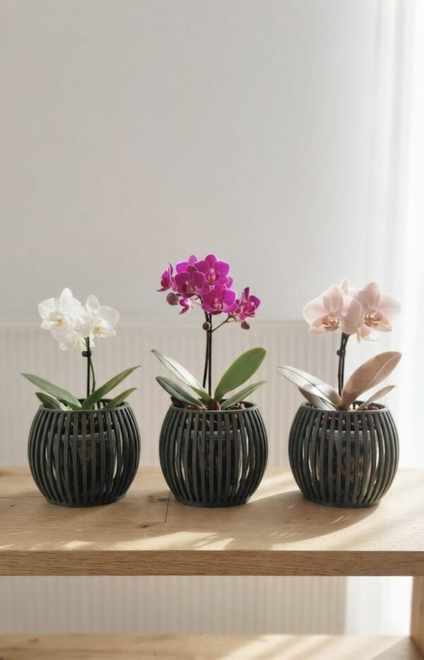 promocion 3 macetas para orquideas mini linea ZEN verde