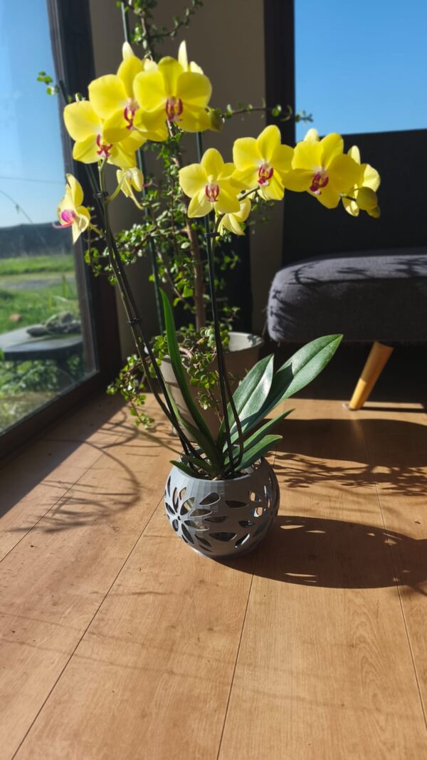 Arreglo de orquidea grande maceta gris plata