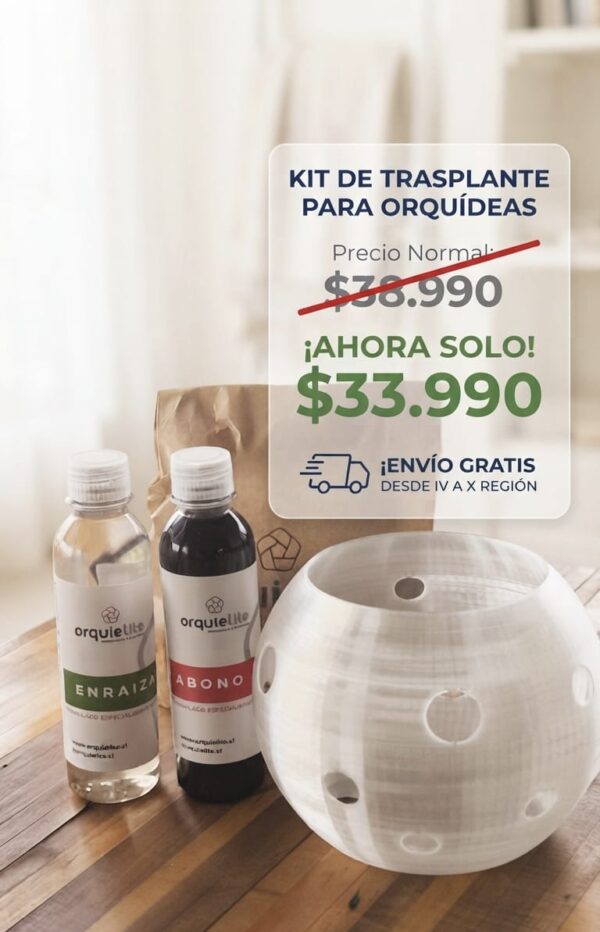 Kit completo de trasplante para orquideas grandes(maceta Sol transparente ,abono ,enraizante y sustrato) envio gratis desde IV a X region