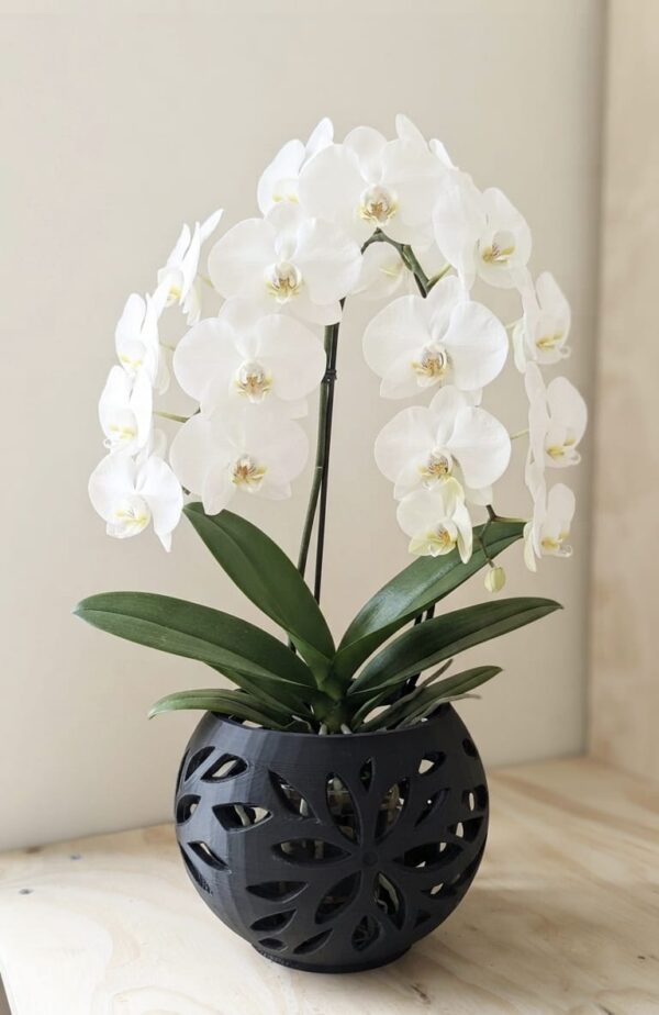 maceta linea Flo negra orquidea grande